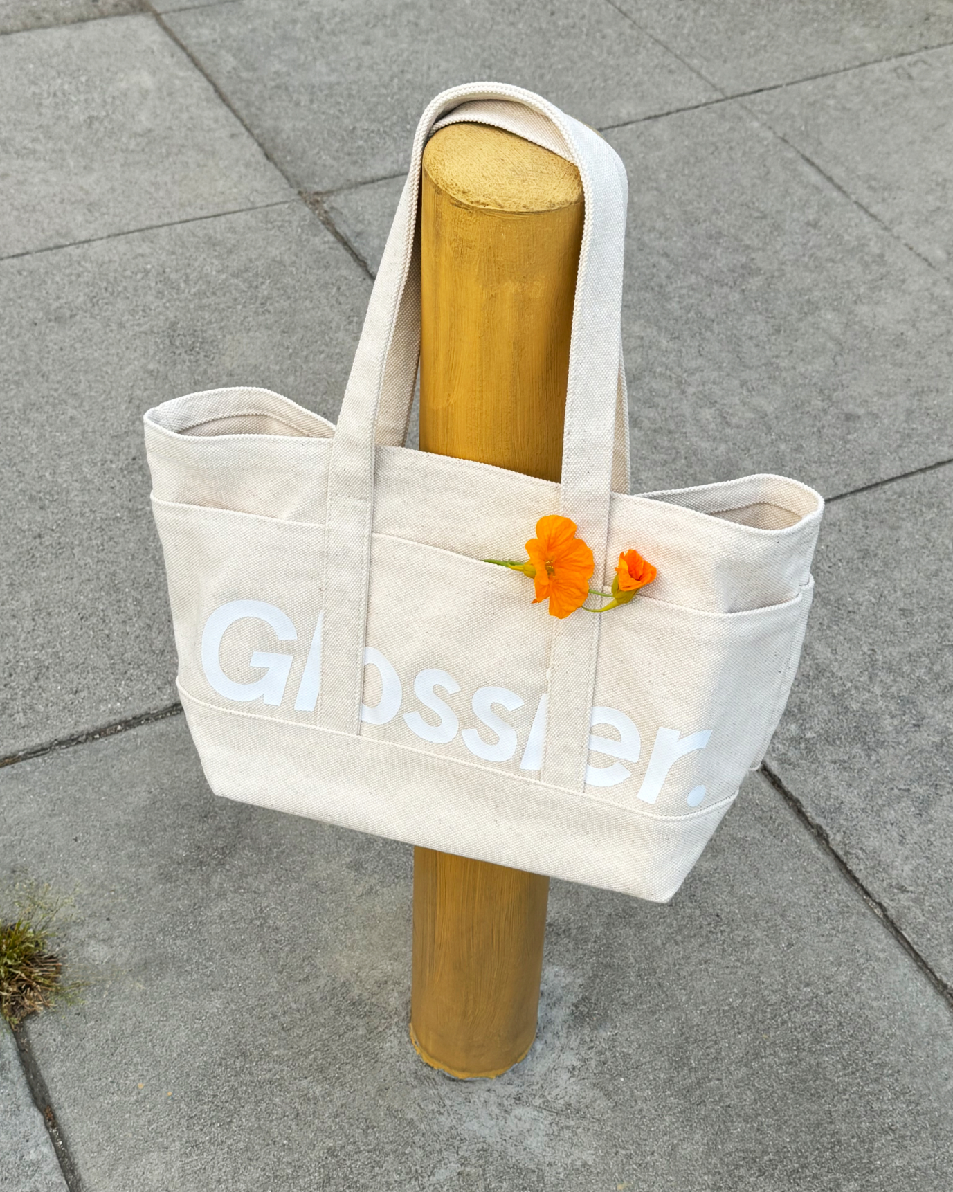 SRC_01959A6ACA60F1BD Glossier Utility Bag